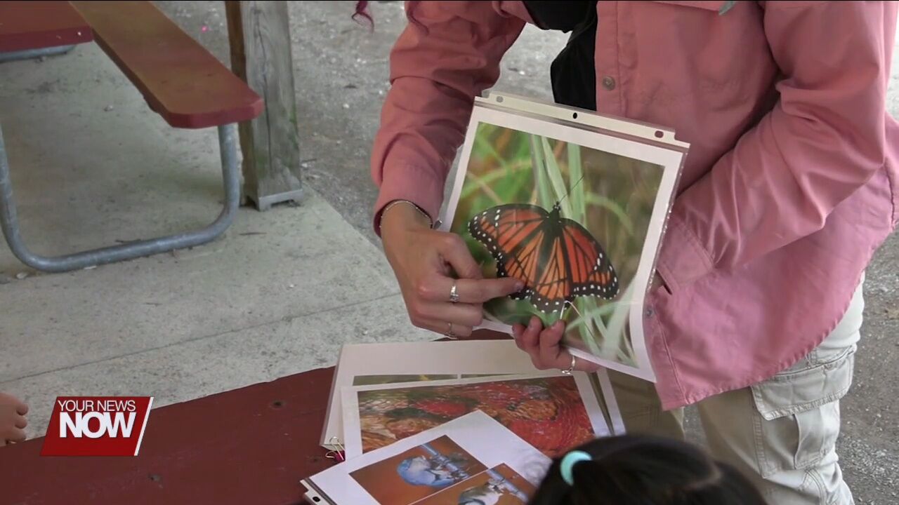 JAMPD's Color Crazy Camp is teaching kids all about colors in nature